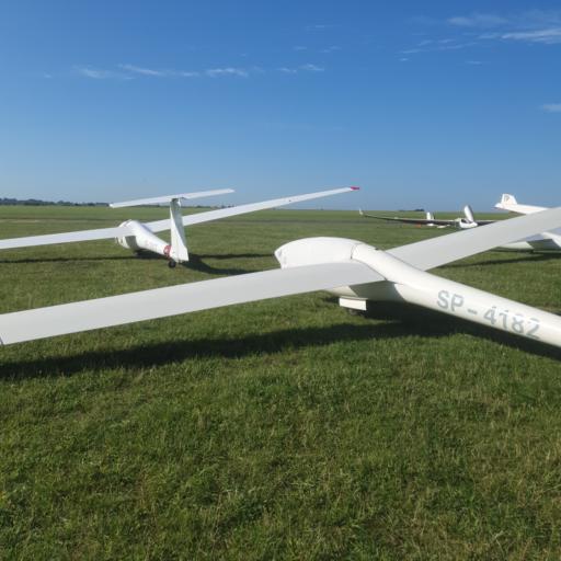 SZD Junior and DG-100 gliders