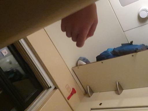 blahaj in a train carriage compartment